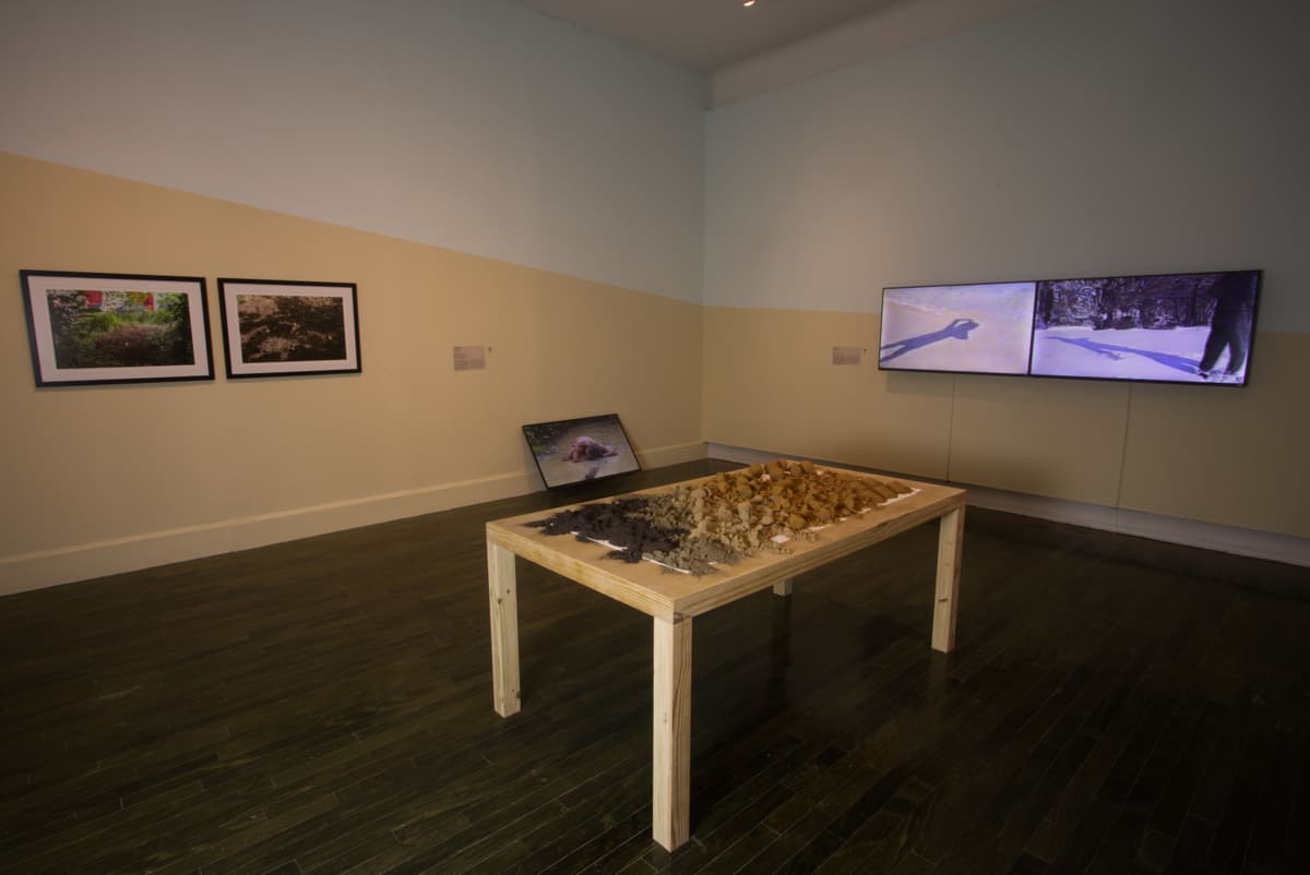 Sala-Caribe por venir-02.JPEG